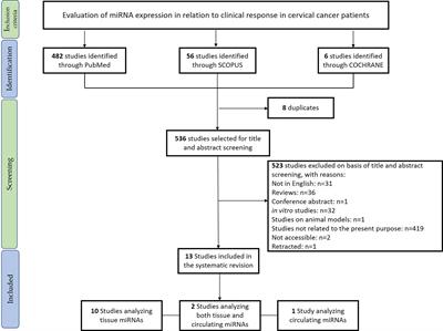 Emerging Role of MicroRNAs in the Therapeutic Response in Cervical Cancer: A Systematic Review